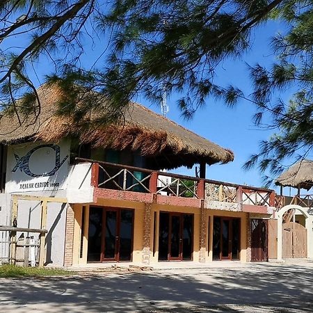 Xcalak Caribe Lodge Dış mekan fotoğraf