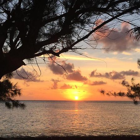 Xcalak Caribe Lodge Dış mekan fotoğraf