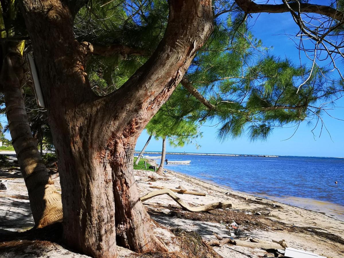 Xcalak Caribe Lodge Dış mekan fotoğraf