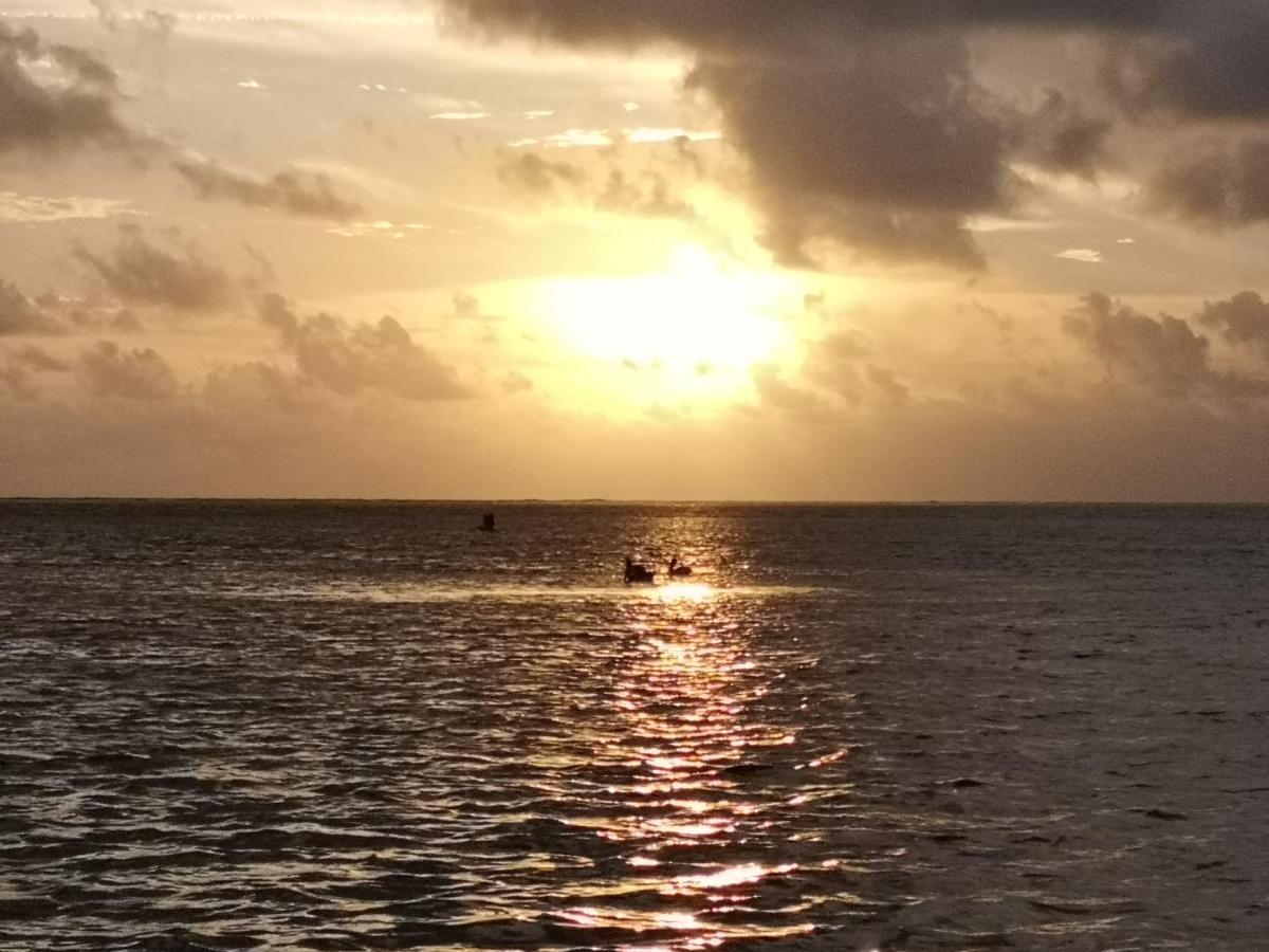 Xcalak Caribe Lodge Dış mekan fotoğraf