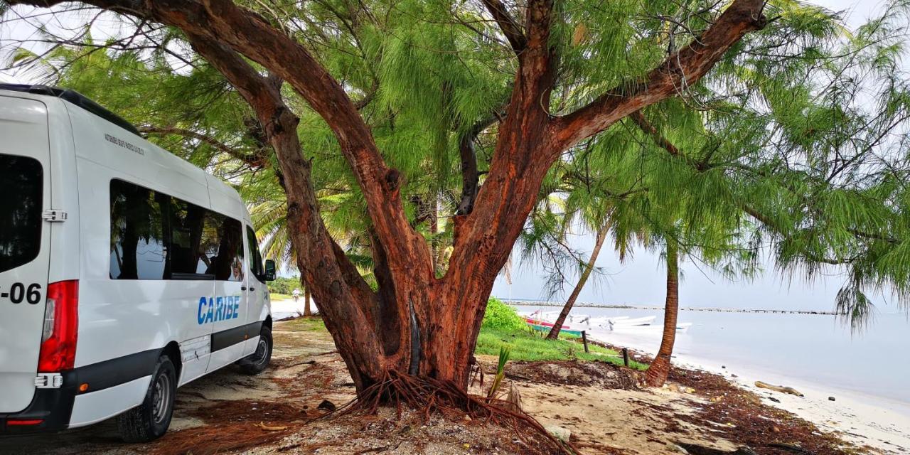 Xcalak Caribe Lodge Dış mekan fotoğraf