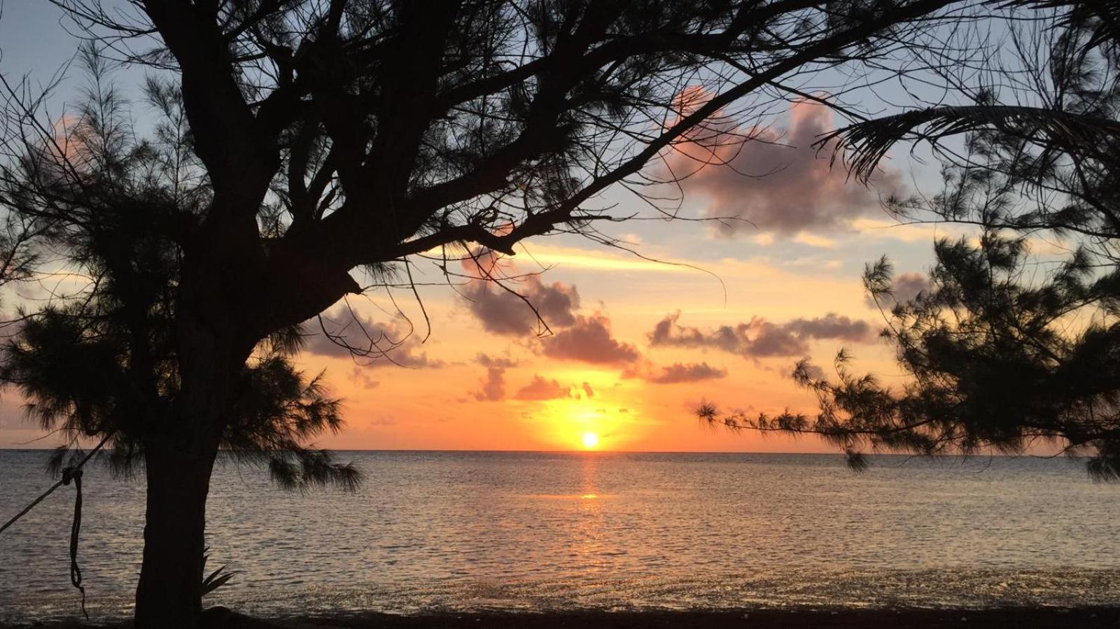 Xcalak Caribe Lodge Dış mekan fotoğraf